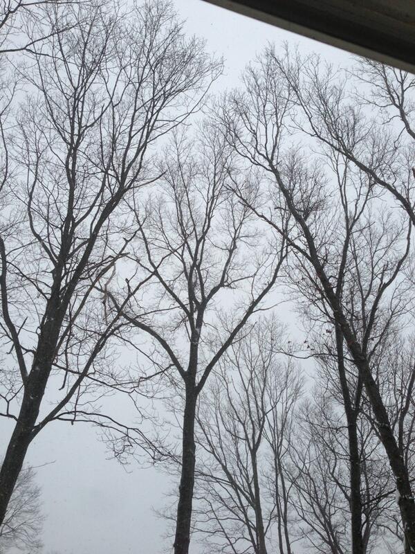 It's never, ever going to stop snowing, is it? #grayskiesforever #Snowpocalypse2013