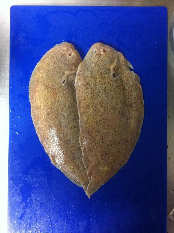 Sand Sole or French Sole ,very similar to Dover Sole but cheaper . Mike says they are "sensational". We have it in!