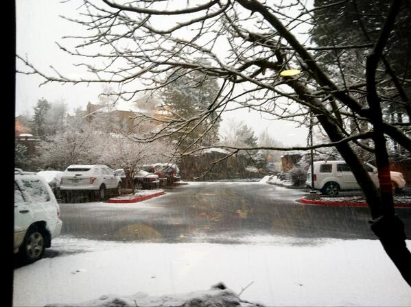 CSUSMS's tweet image. Snow in flagstaff!