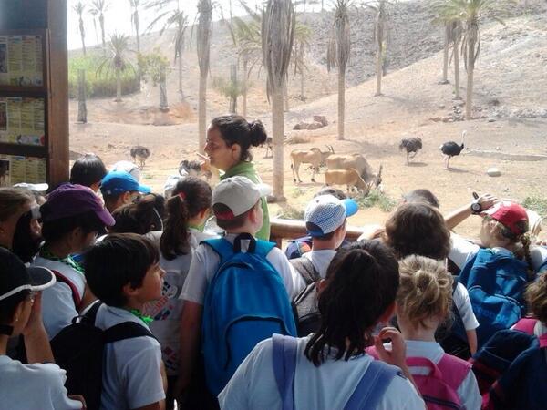 Enlace permanente de imagen incrustada