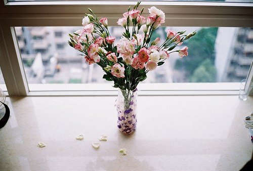 DariaMaier's tweet photo. @MarinaaYO :* http://t.co/bGfBJKkBlq