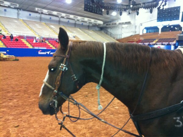 bryangathright's tweet photo. On the floor with Sweetness getting ready to watch @Shane_hanchey at Austin Rodeo!! http://t.co/QwFEOUbSji