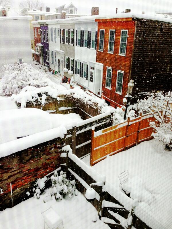 Another winter wonderland out my Charlestown window!