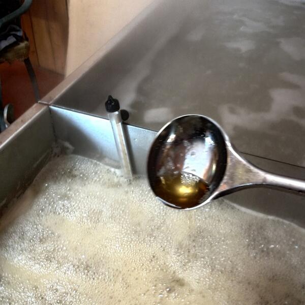CranberryScram's tweet photo. Boiled 120L down yesterday and bottled 3.25L this morning. 32 taps produce lots of sap! #maplesyrup http://t.co/1M81gyXAO2