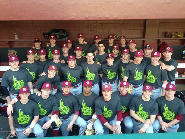 BCBirdBall tweet picture