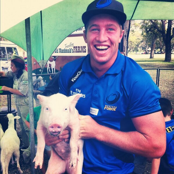 SuckerForRed's tweet image. "@EdStubbs12: @AngusCottrell and his pet pig. #forcefamilyfunday #seaofblue #firsthashtag @rorywalton4 http://t.co/PRRtrLemzz" Hmmmmm bacon