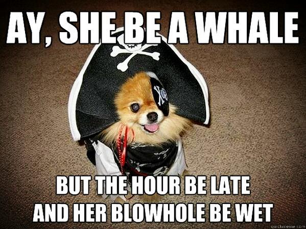 dylan roberts tweet media