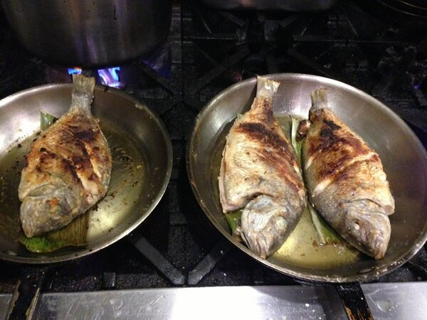 MasakNYC's tweet photo. #fridays #lent #fishfishfish http://t.co/S9sBIq8qWl