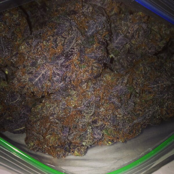 Webdreds's tweet image. Blunted #nugs #purpleweed#haze#og#medicinal