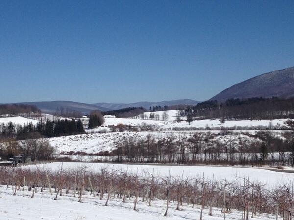 davidandrewnich's tweet photo. A gorgeous day in the Berkshires. http://t.co/1E1u5DdSUC