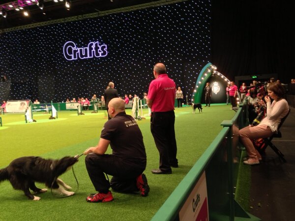 AndyBiggar's tweet photo. #dogphotographer behind the scenes at #crufts http://t.co/1AJXVQirkg