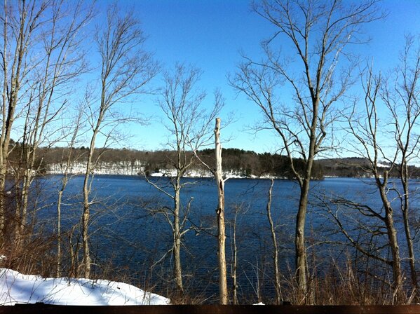 genelpg's tweet photo. Morning stroll with @PeaceInParadise #reservoirroad http://t.co/kEOom3yIoj