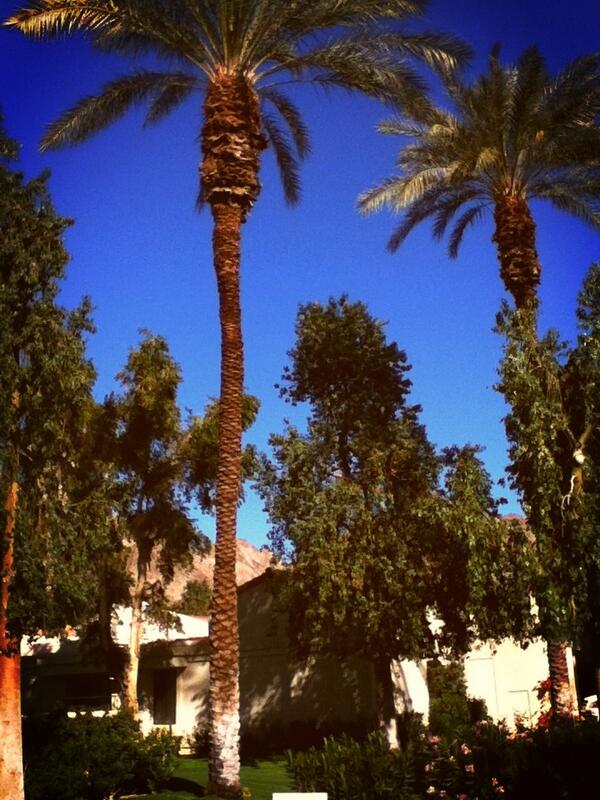 Lplum_98's tweet photo. Ahhhhh sitting in the warm weather of cali•for•ni•a! #lifedoesntgetbetter http://t.co/IJjLMpn2TE