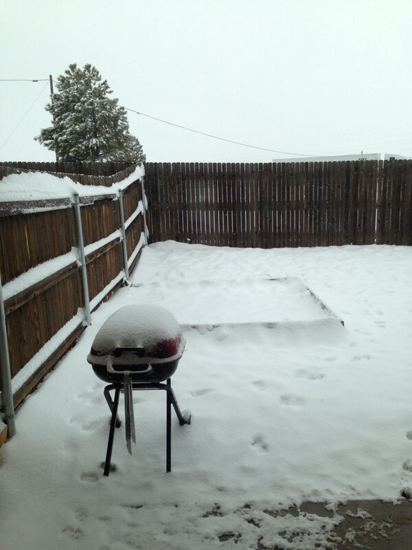 micrempel's tweet image. I guess I won't be BBQing today.. #snow #flagproblems