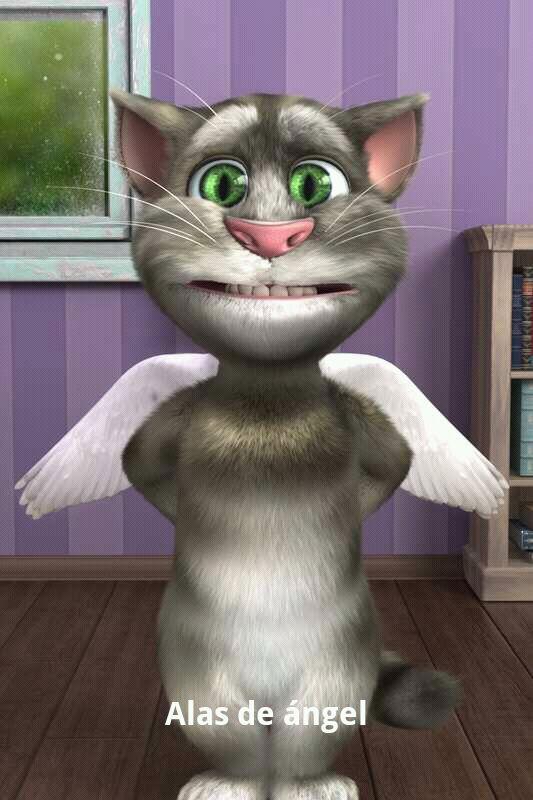 suni2005's tweet photo. Talking Tom Cat 2 app: http://t.co/KWyoY8J7mw http://t.co/04AYZ7Tvyd