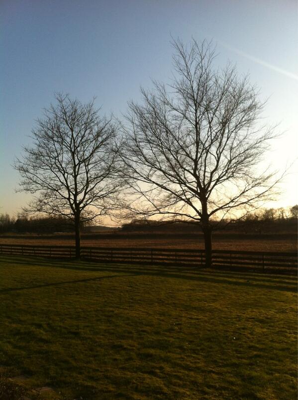 #ned #drenthe #witten #bbdetienerven = #rust #ruimte #privacy #gastvrijheid!