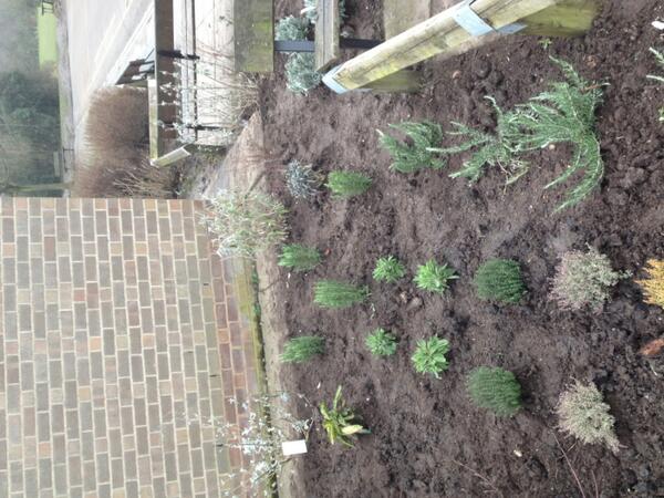 herewe_grow's tweet photo. Look how great the gardens looking! Product of all our hard work! Thanks to Envision for your help :) http://t.co/Yd4hrHGLvx