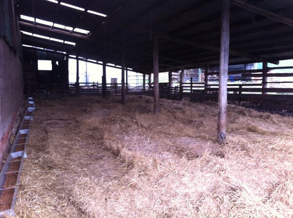 edwardcscott's tweet photo. @wildjamie sheep, year 1: sheep finally housed in this lovely setup.... http://t.co/YYYXKzl6z9