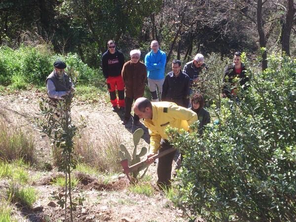 recollida2011's tweet photo. El President de l'ADF 031 La Serralada ha començat a fer el forat per plantar-la. Més de 20 persones ho contemplàvem. http://t.co/SkHFCNpPn2
