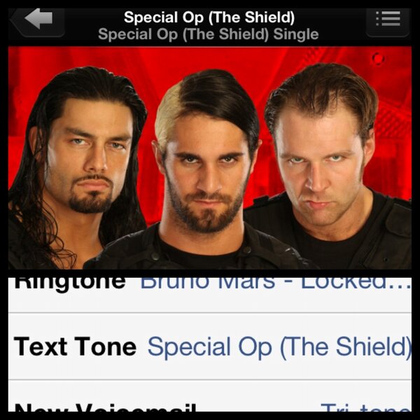 Susie_4186's tweet image. @theshieldwwe @WWERomanReigns @WWERollins @thedeanambrose #theshield #texttone #wwe #BelieveInTheShield