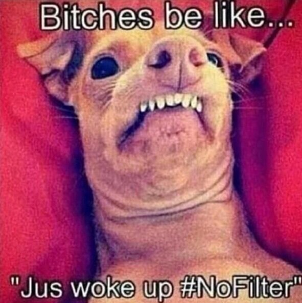 BrunoReynaga's tweet photo. Bitches be like http://t.co/5cJhlraKs6