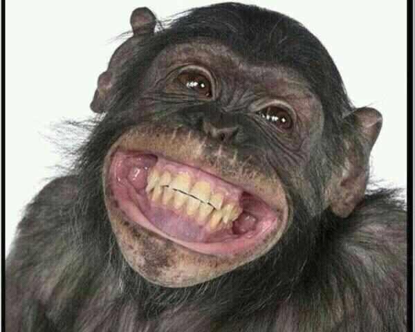 PimponMondriz's tweet photo. @TellmeChaparra  Hola! Te quiero mucho. Bye http://t.co/Re19oTzqUx