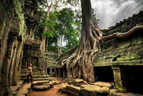 FamousGrouseLeb's tweet photo. Check out the amazing Ta Prohm Temple at Angkor-Cambodia. #Famous for the spectacular trees growing out of its ruins. http://t.co/2eFLaPemGM
