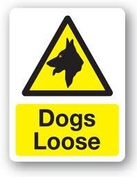 W3Z_D's tweet photo. @HarrietDeal @PollyannaWx thinkin of gettin some t-shirts made up for u guys.. http://t.co/hTu3cRnjy6