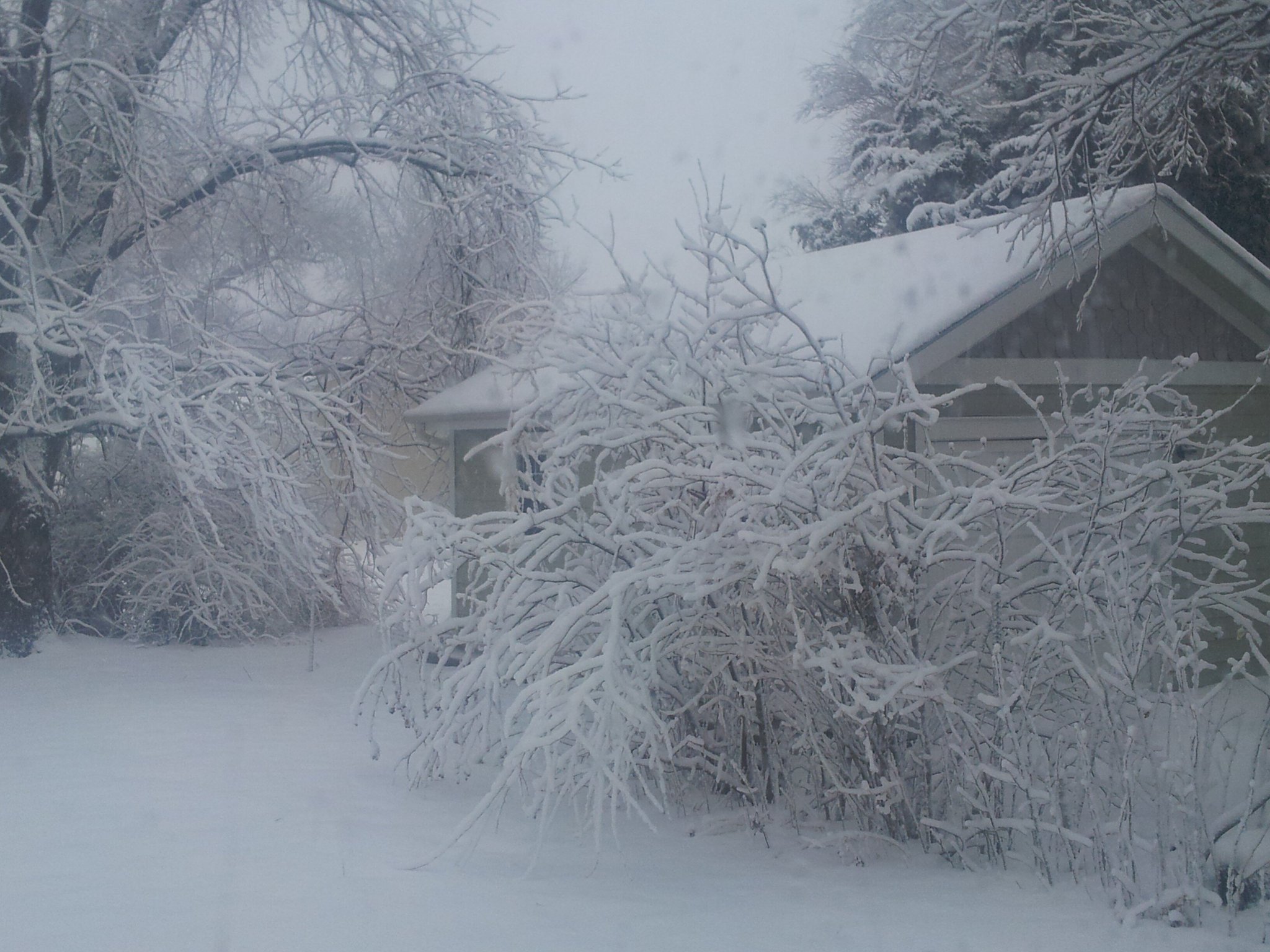 @41actionnews #kcsnow http://t.co/F374H1rLJO