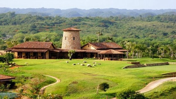ChefJcarles's tweet photo. Working#new recipes for today#Royal Isabela http://t.co/SWJSu4hUV7