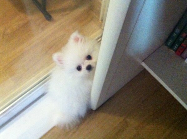 yanjii's tweet photo. 일 다 하고 놀아줄게 http://t.co/0Pldsd1HY7
