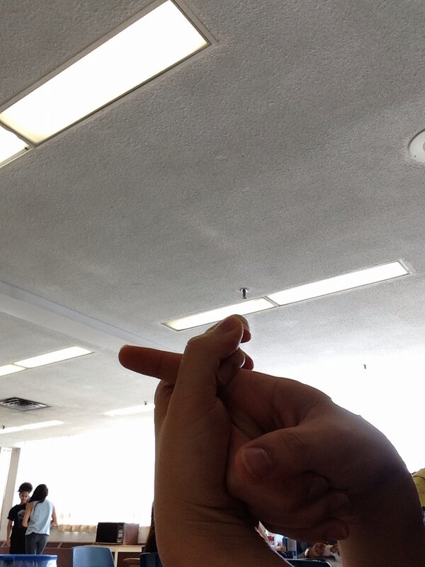 maysen krasevac tweet media