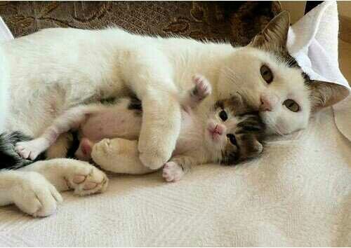 It's time to sleep 
SLEEP. night 1:30 
꿀밤돼심