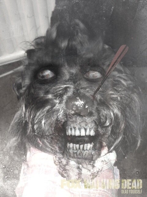 VerbalRiot's tweet photo. Join The #WalkingDead with #Deadyourself http://t.co/AQdUAmW1y0 http://t.co/LzhW6pkiay