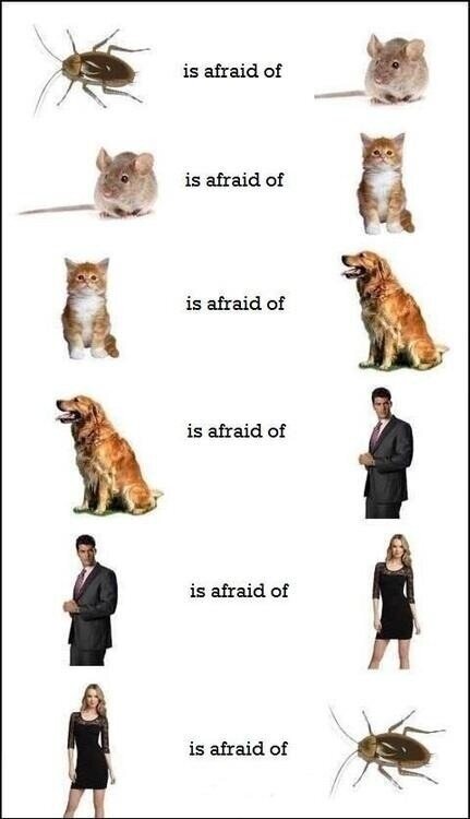 Funnyshit2013's tweet photo. Dafuq http://t.co/LEswc143YK