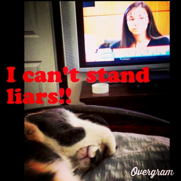 gianaz's tweet photo. #jodiarias #justicefortravis http://t.co/8CT8ndll5j