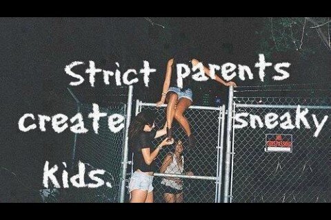 InternetLOLZ tweet picture