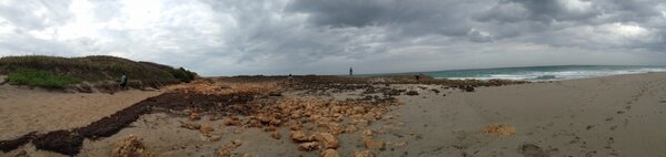 shaunbright's tweet image. @The_Names_Jack #MikeyP @justinDoesntHaveATwitter #beach #panorama #florida #springbreak2012 #springbreak