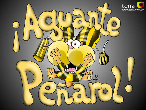 JhonaSilveira's tweet photo. Vamo el manya!!!!!!. http://t.co/3OoaZm3F0E