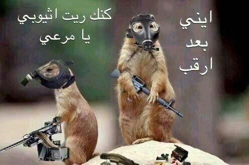 GoOoOss1's tweet photo. #النماص
 #بني_عمرو
#تنومه
#عسير http://t.co/baicB0wvSt