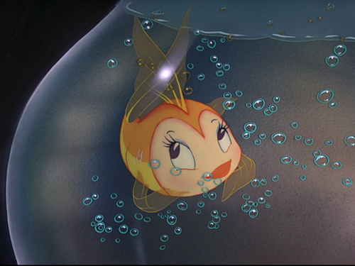 SLSSSSB's tweet image. Bought a new goldenfish and gave her name Emily. Here u can see how I see her.