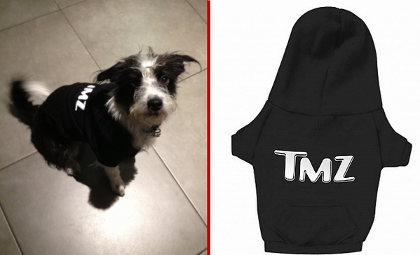 TMZstore's tweet photo. Keep Your Hairy Pooch Covered!!! http://t.co/ybg8tfZcRK http://t.co/eoNpm87ErL