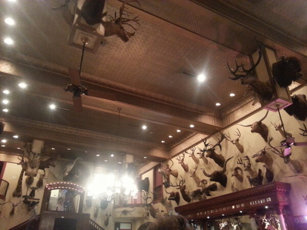 okdistribute's tweet image. At the buckhorn! #cscw2013 #sanantonio