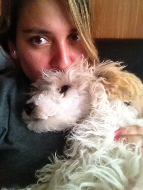 _Melody77_'s tweet photo. Mi pompón 🐾🐾 http://t.co/nkcdsBaBsG