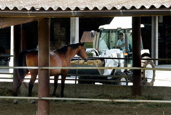 Atlettex's tweet image. Универсальный трактор для фермы