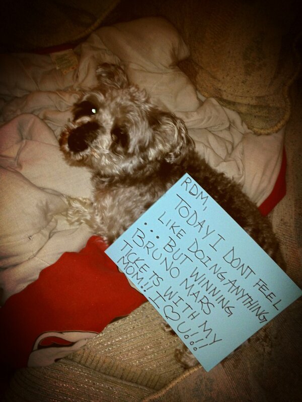 WI_LLOW's tweet image. @1045CHUMFM he made me do it! #BrunoCHUMFM #unorthodoxjukebox