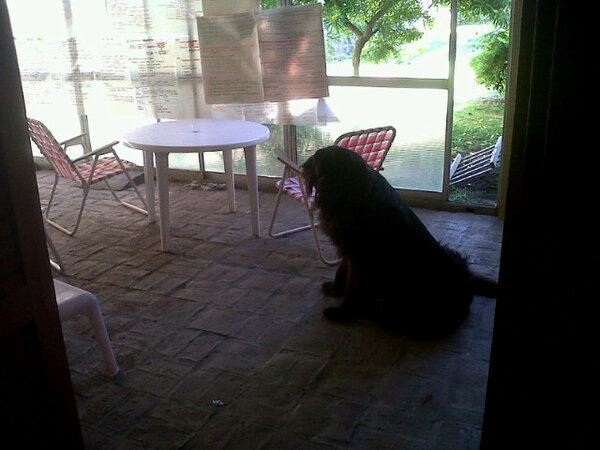 nurimildon's tweet photo. @Guilllerminita @jusleone @jose_algeri apuren q bono las esta esperando http://t.co/u2CGzreAp2