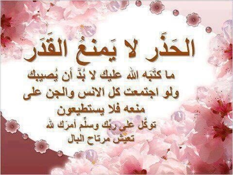 mootbleedh's tweet photo. 🍓🍀🍓🍀🍓🍀🍓🍀🍓

 الحذر لا يمنع القدر

ما كتبه الله عليك لا بد ان يصيبك
و لو اجتمعت كل الانس و الجن علي منعه..

⬇⬇⬇⬇⬇ http://t.co/4L4ARwVwdk"