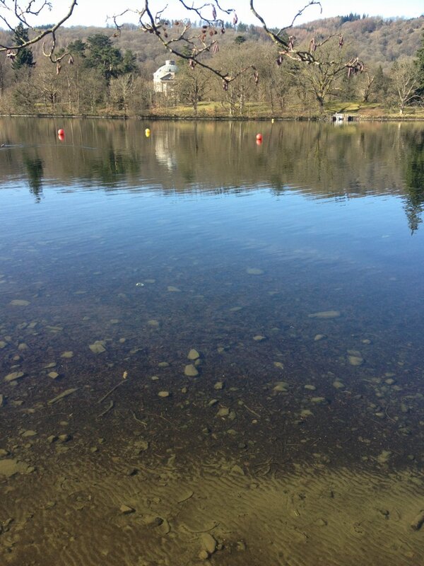 Swim start.. That really is Windermere