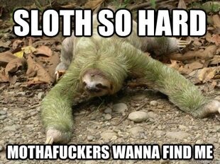 iLikeToSloth tweet picture
